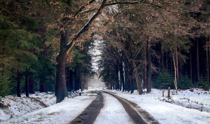 Snowy trail