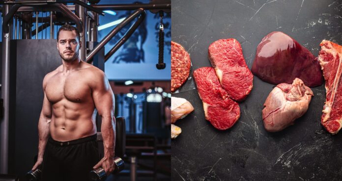 Carnivore Diet Bodybuilding for Muscle Growth