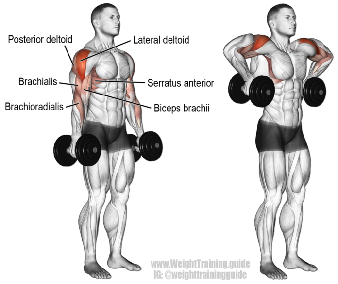 Monkey Shoulders Exercise Improve Shoulder Health