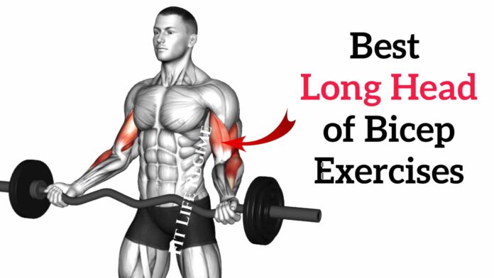 Long Head Bicep Exercises to Improve Arm Shape