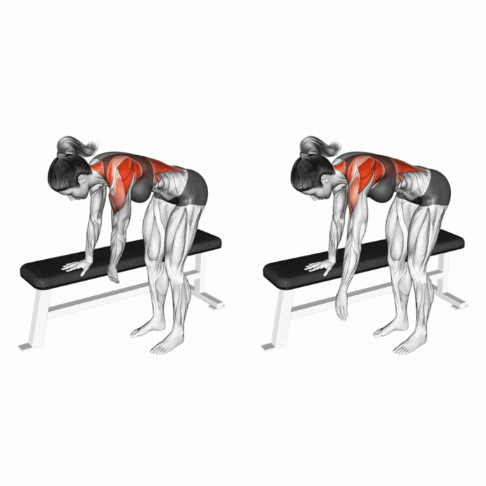 Shoulder Tendonitis Exercises for Better Shoulder Health Today