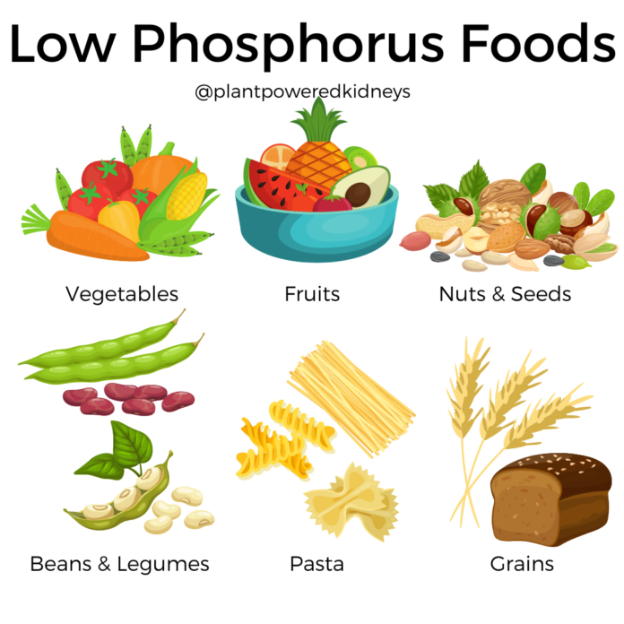 Low Phosphorus Diet Foods for Healthy Kidney Function