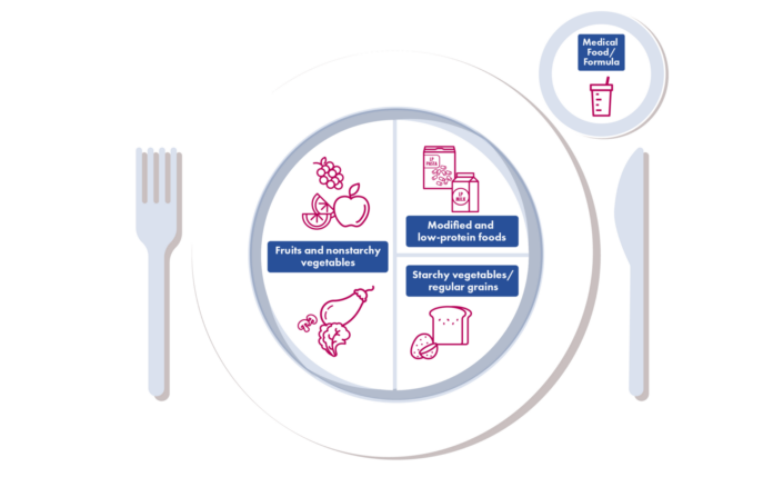 PKU Diet Meal Plan for Better Nutrition